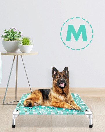 DOG BED