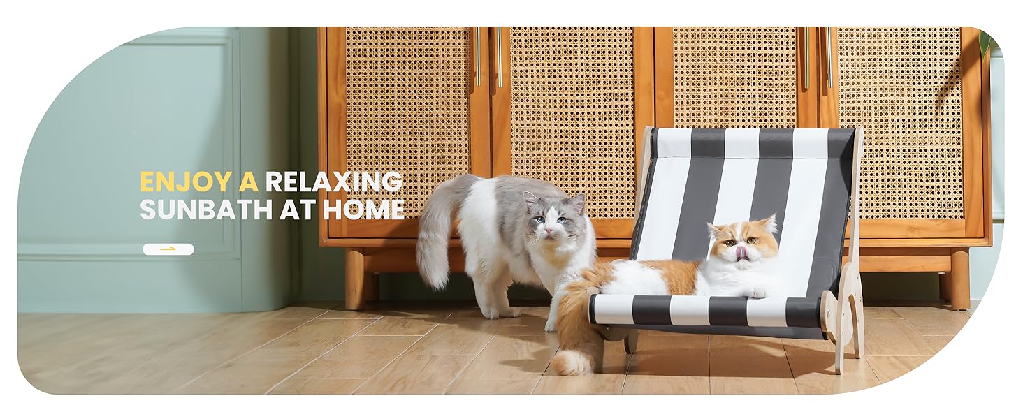 pet furniture