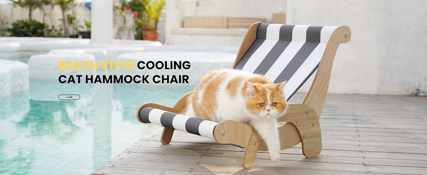 cat beach chair