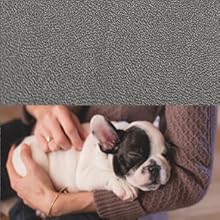 Replacement Outer Cover Cover ONLY - NO Bed for The Dog's Bed, Washable