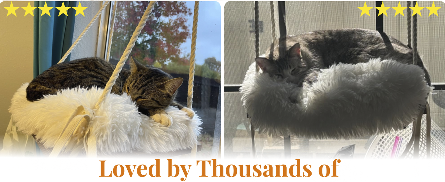 Cozy and soft cushion for ultimate bed sleep comfort with wood window hammock for cats inside