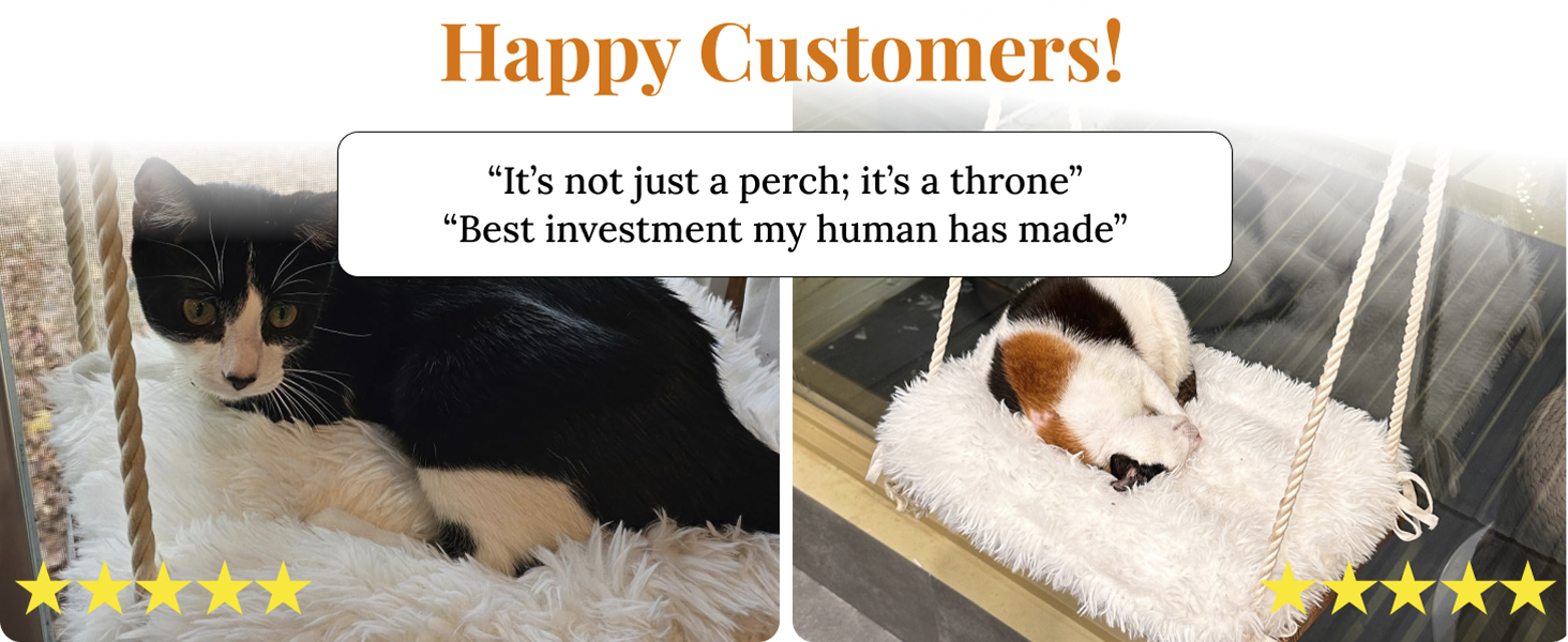 Cozy and soft cushion for ultimate bed sleep comfort with wood window hammock for cats inside