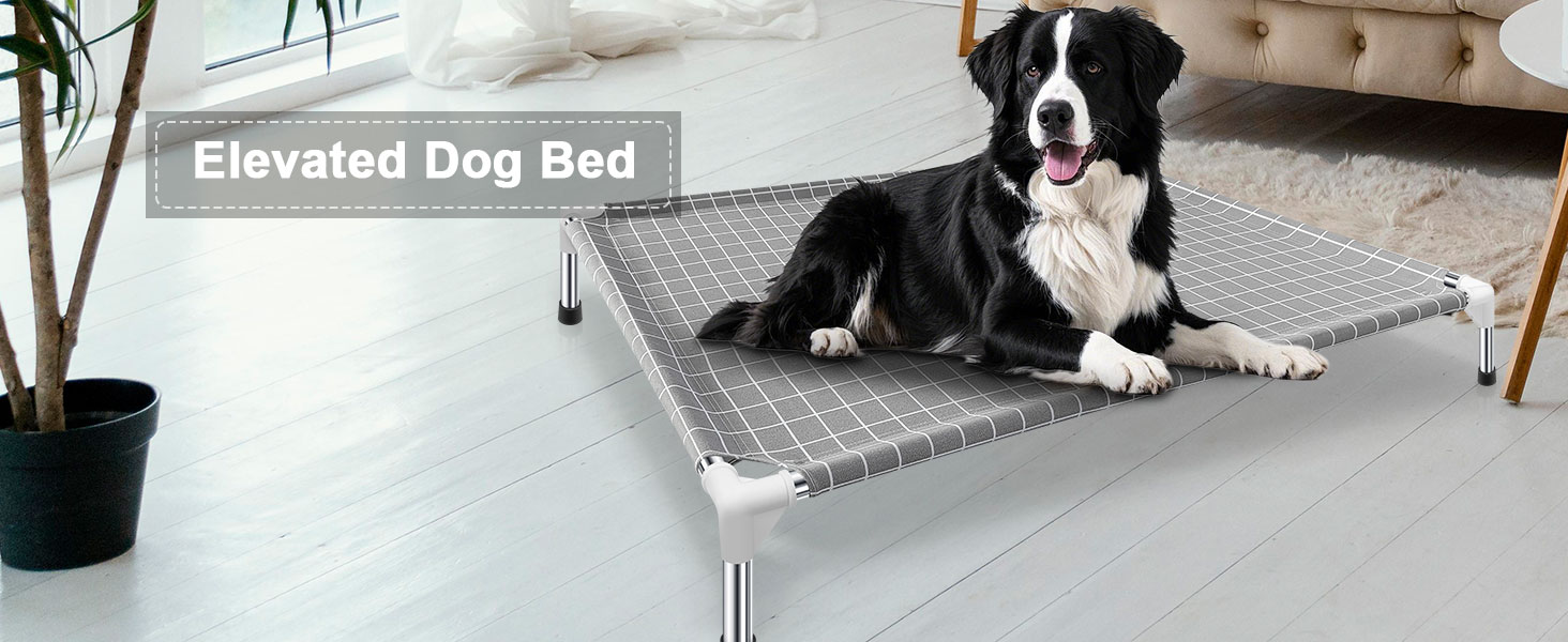 elevated dog bed