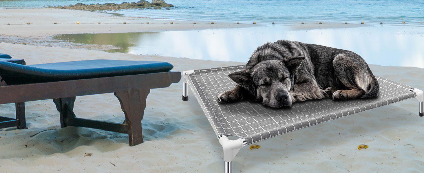 dog  cot