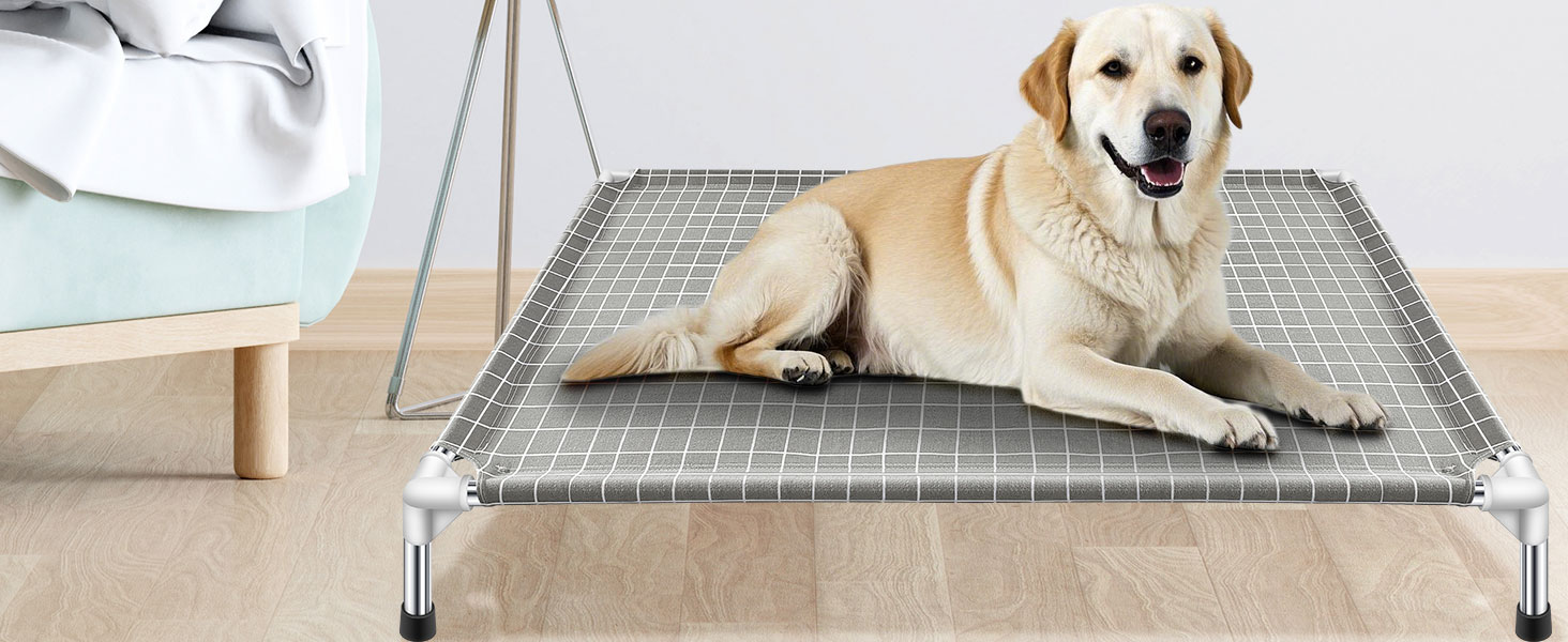large dog bed