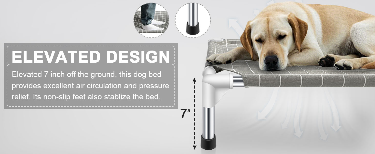 elevated dog bed large