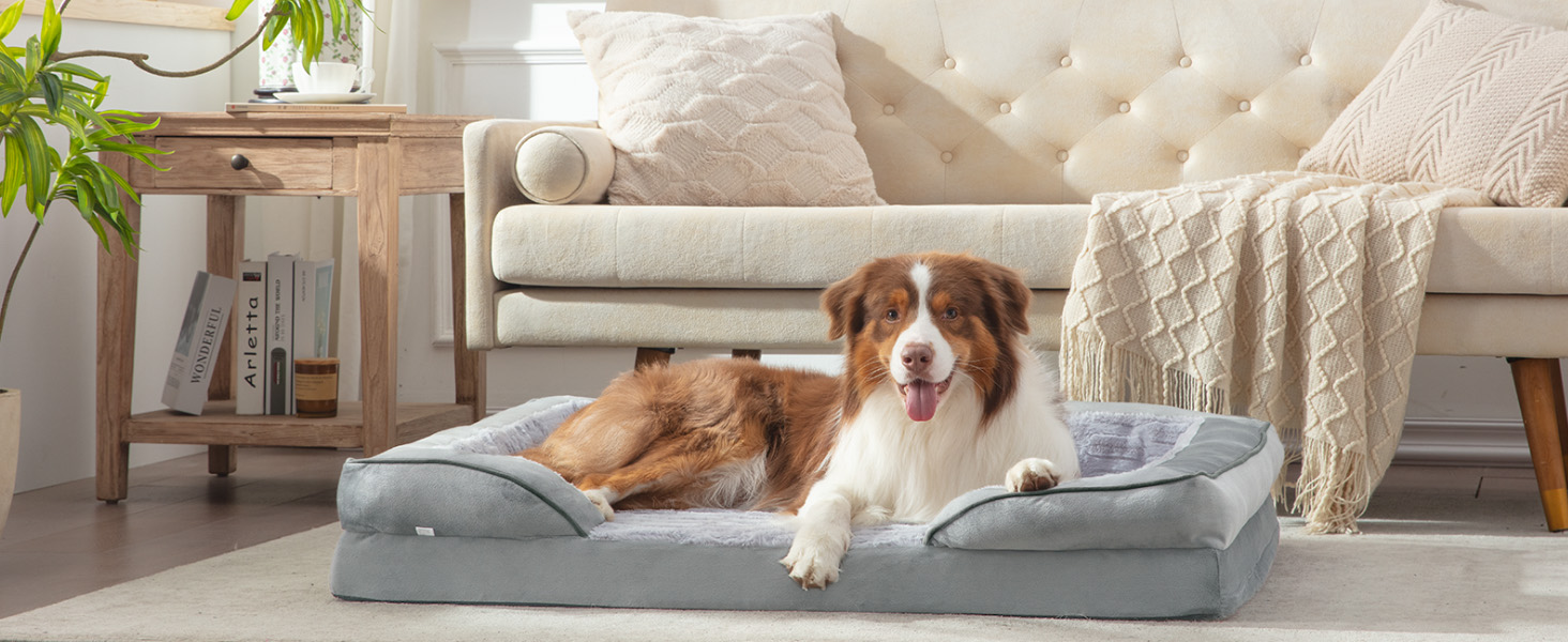 dog bed