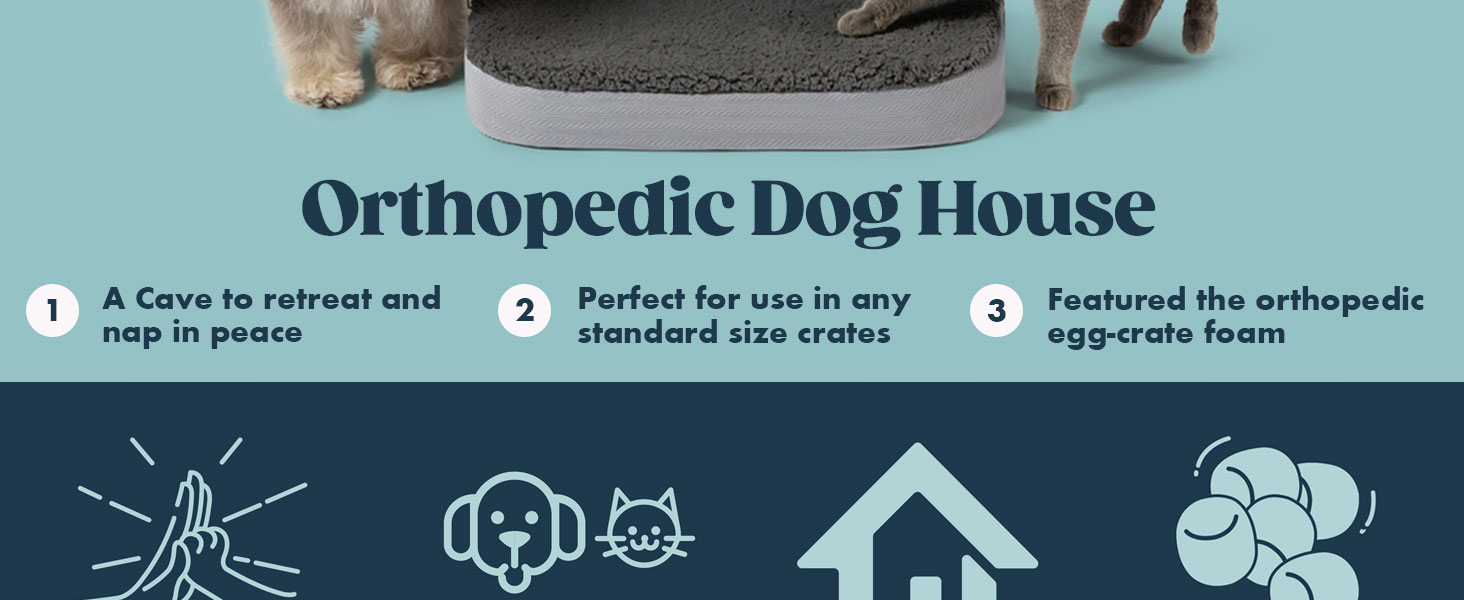 dog house indoor
