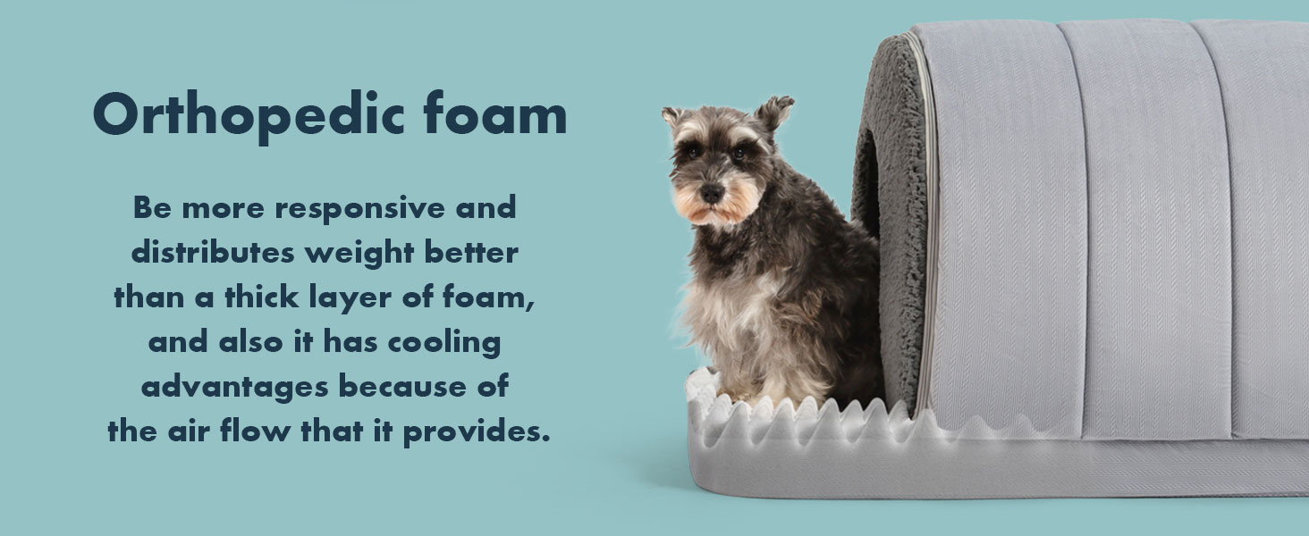 casa para perros