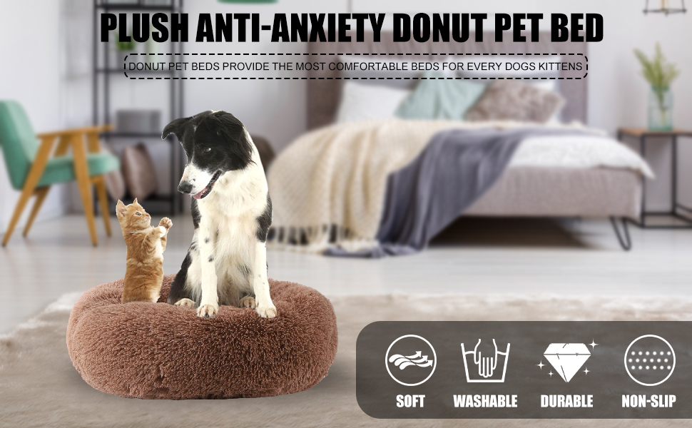dog bed