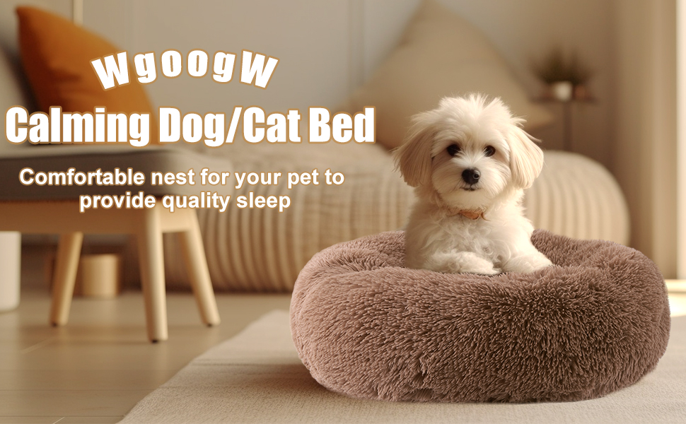 puppy bed
