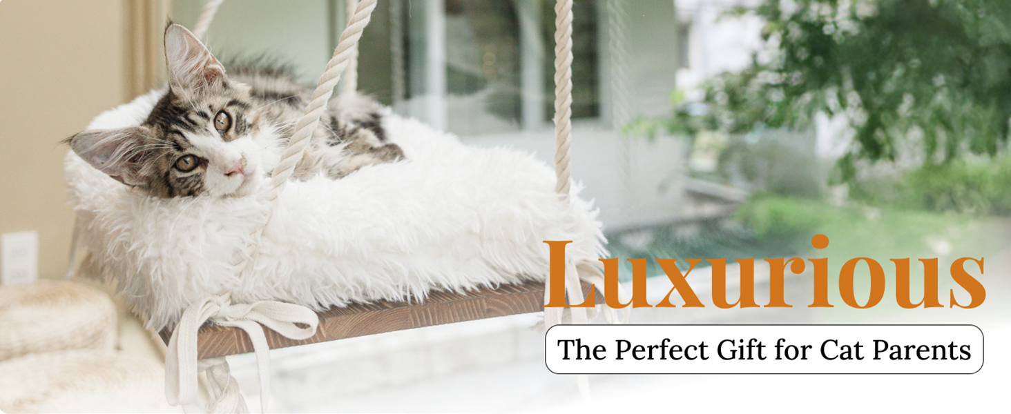 Ensure strong connection, safety and stability with window perch for cats inside