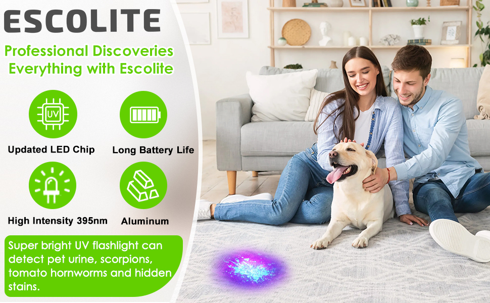 uv flashlight