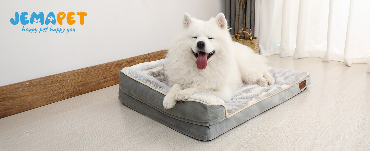 dog bed