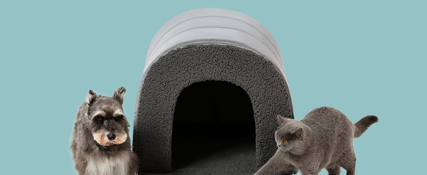 indoor dog house
