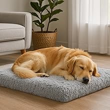 Golden retriever curled up on plush dog bed in a modern, softly lit living room."