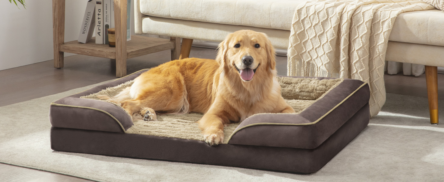 dog beds