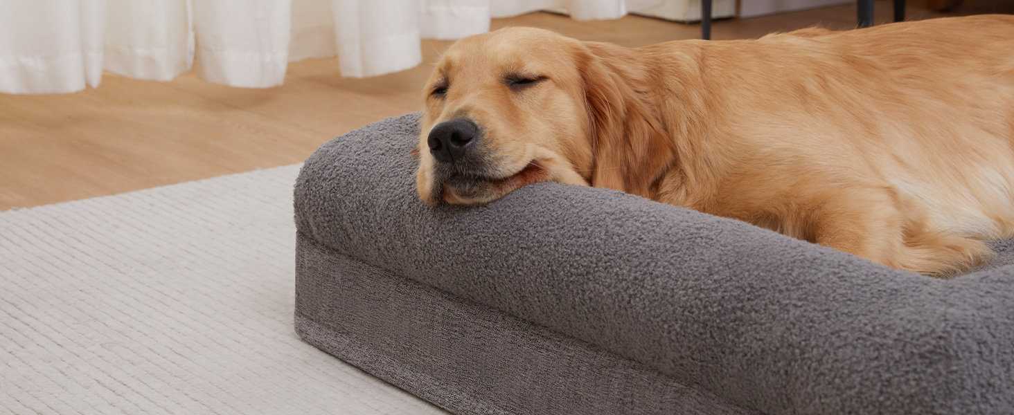 6.5Inch bolster dog bed give dogs good head and neck support