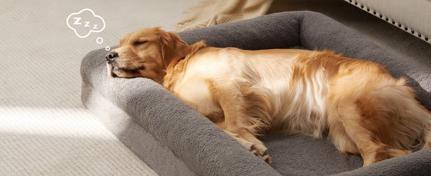 Pets sleep comfortably in large dog bed