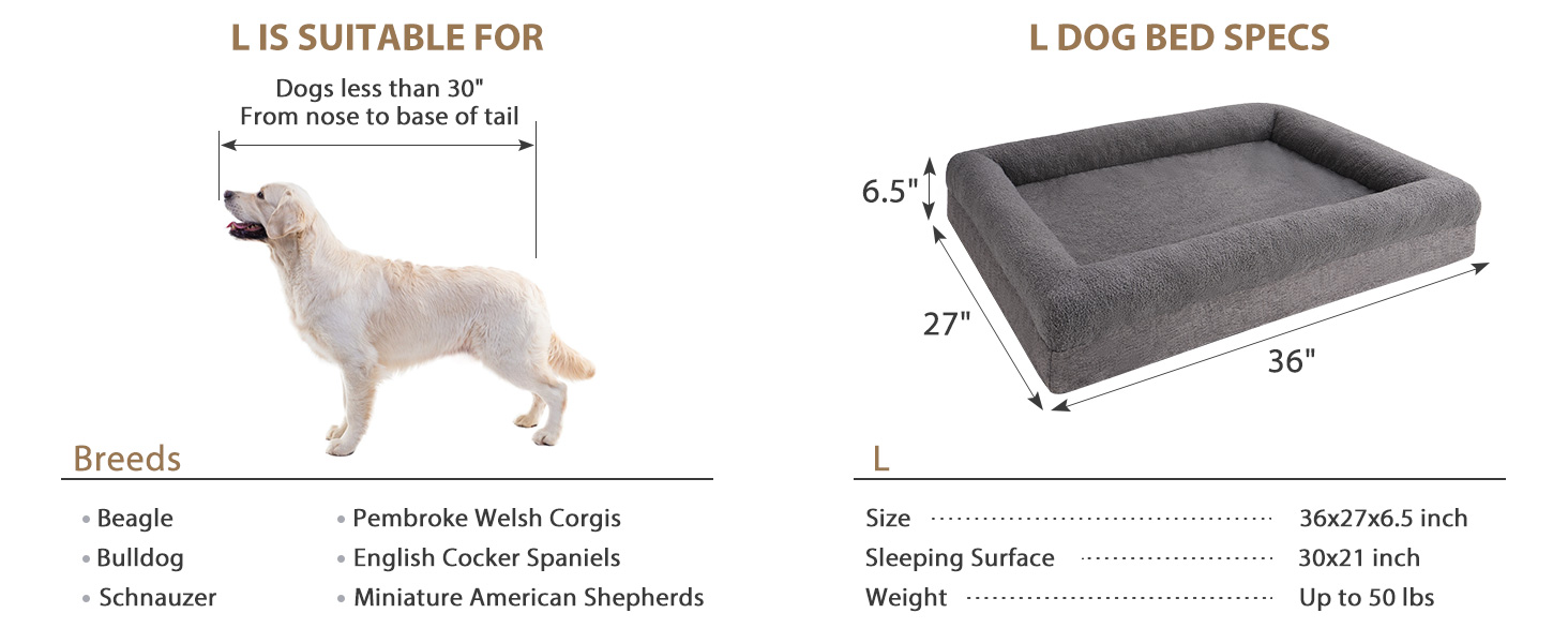 large dog bed