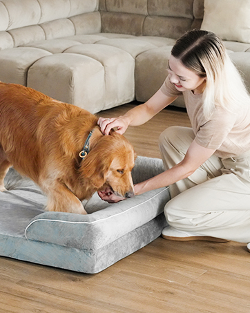 WATERPROOF DOG BED