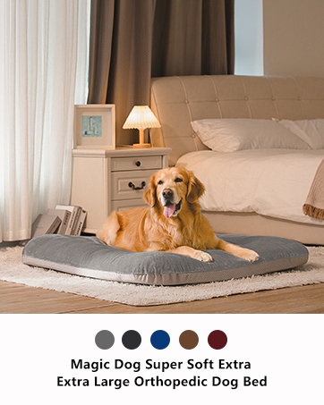dog bed