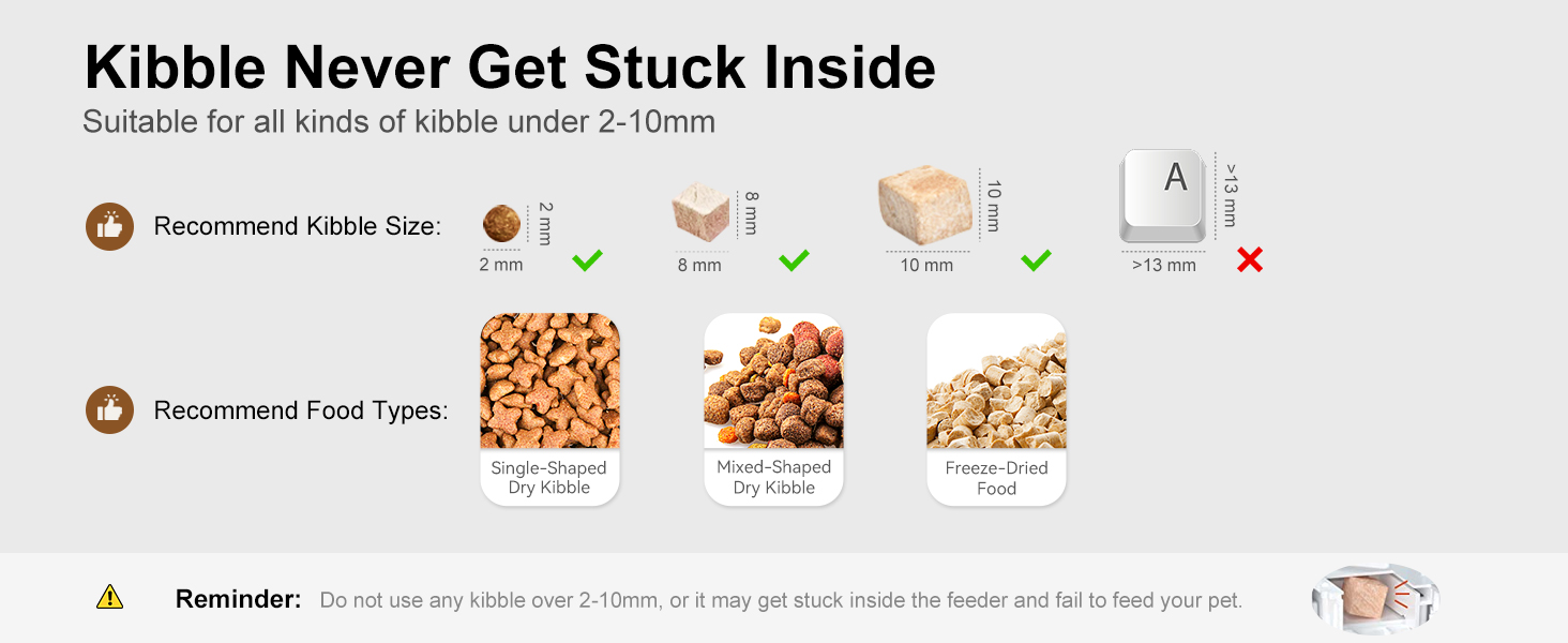 timed cat feeder