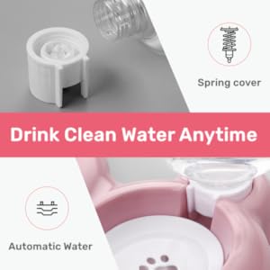 Automatic Water Dispenser