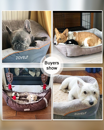 Buyer show