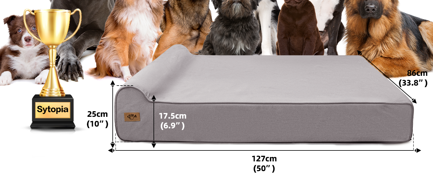 DOG BED