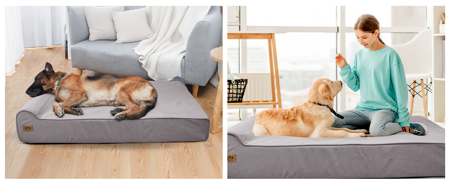 DOG BED