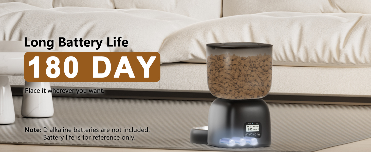 Automatic Cat Feeders