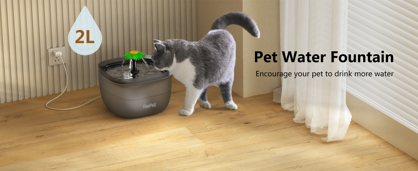 Cat Water Fountain