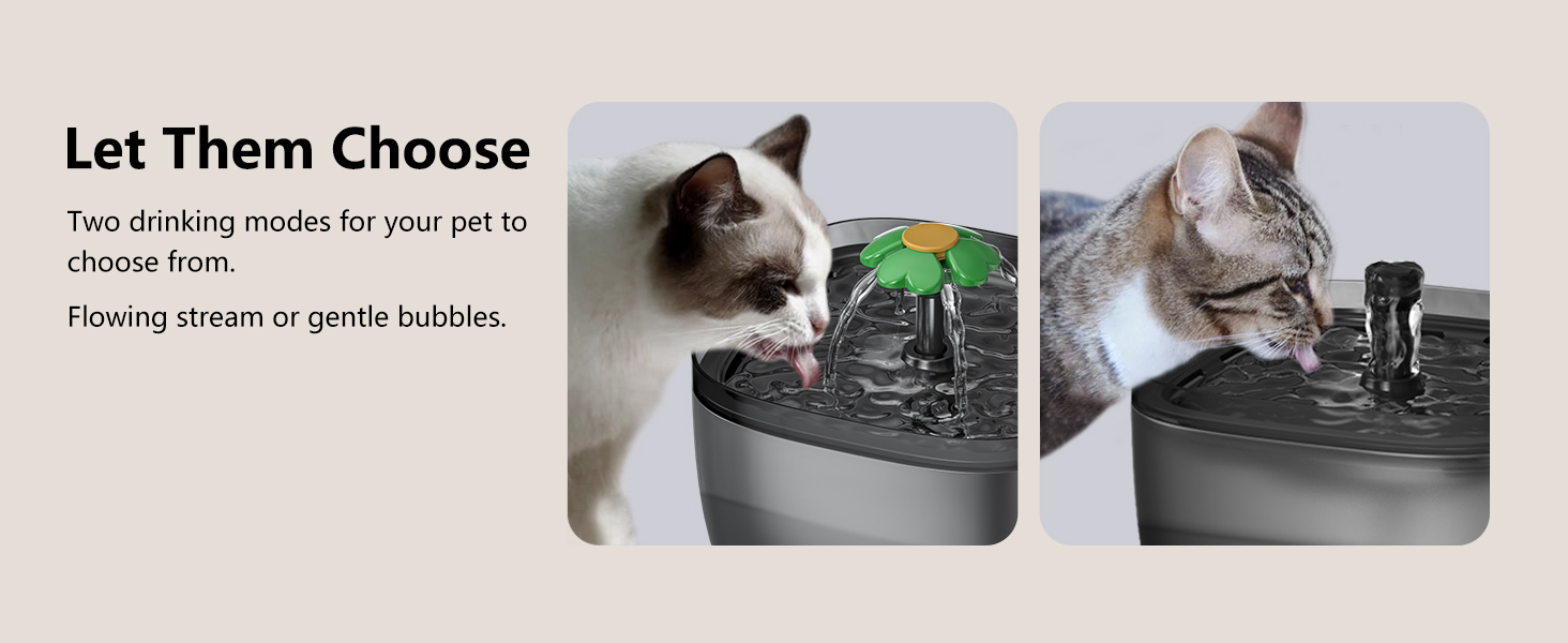 animal water dispenser