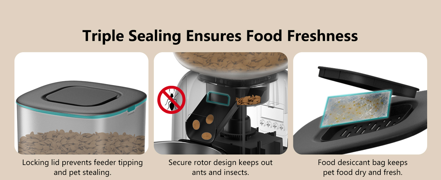 cat feeder automatic