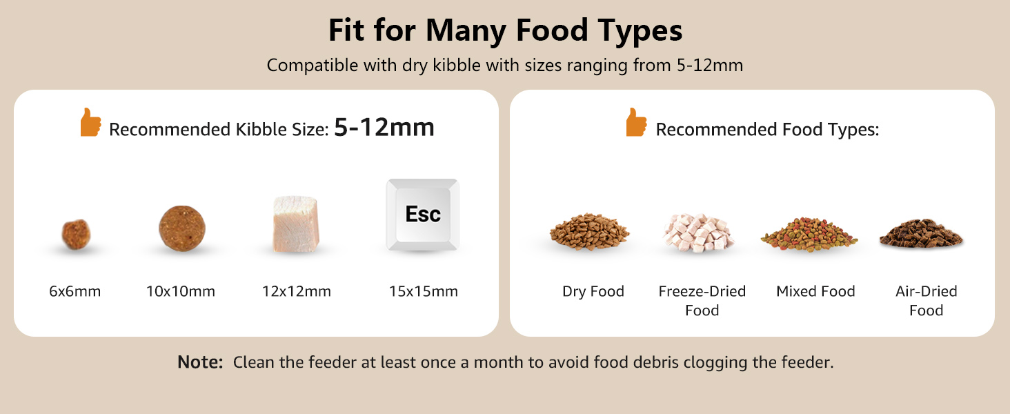 cat feeder