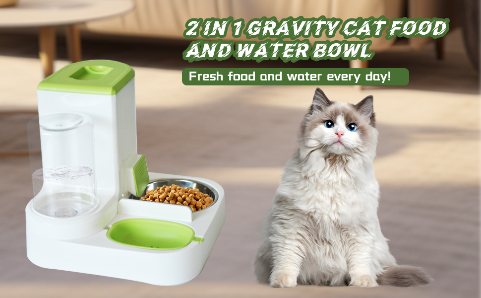 Automatic Cat Food and Water Dispenser 