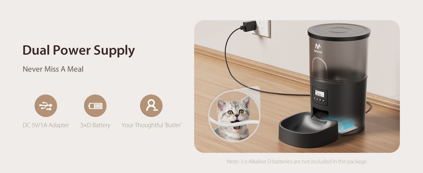 auto cat feeder