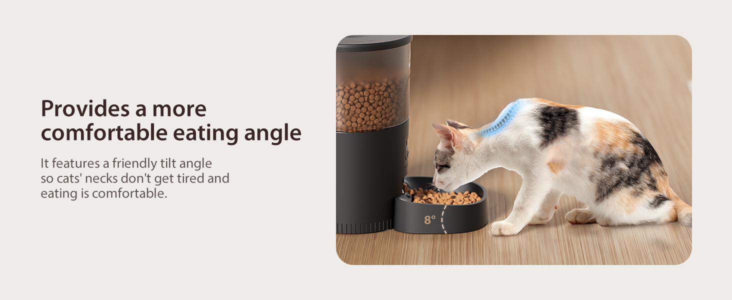 automatic pet feeder