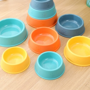 Plastic Dog Bowl (4)