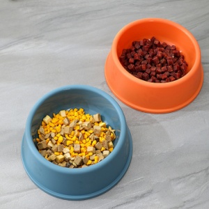 Plastic Dog Bowl (3)