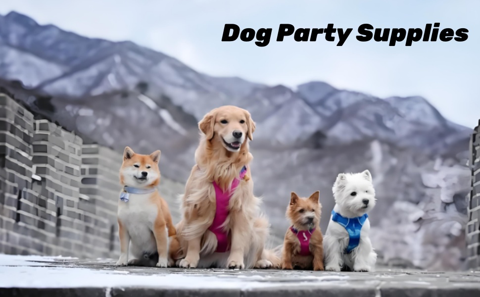 Plastic Dog Bowl 