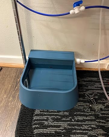 dog bowl