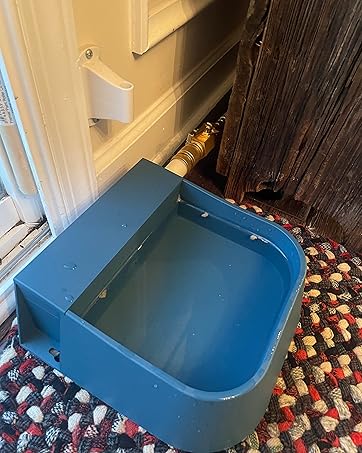 dog bowl