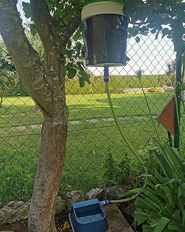 dog automatic water bowl