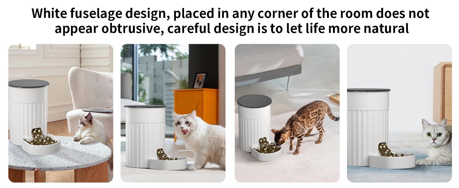 pet automatic feeder