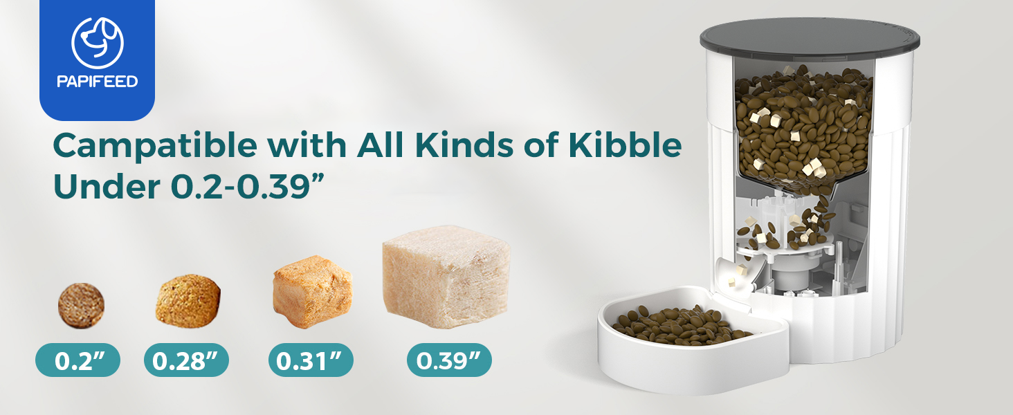 automatic cat feeder