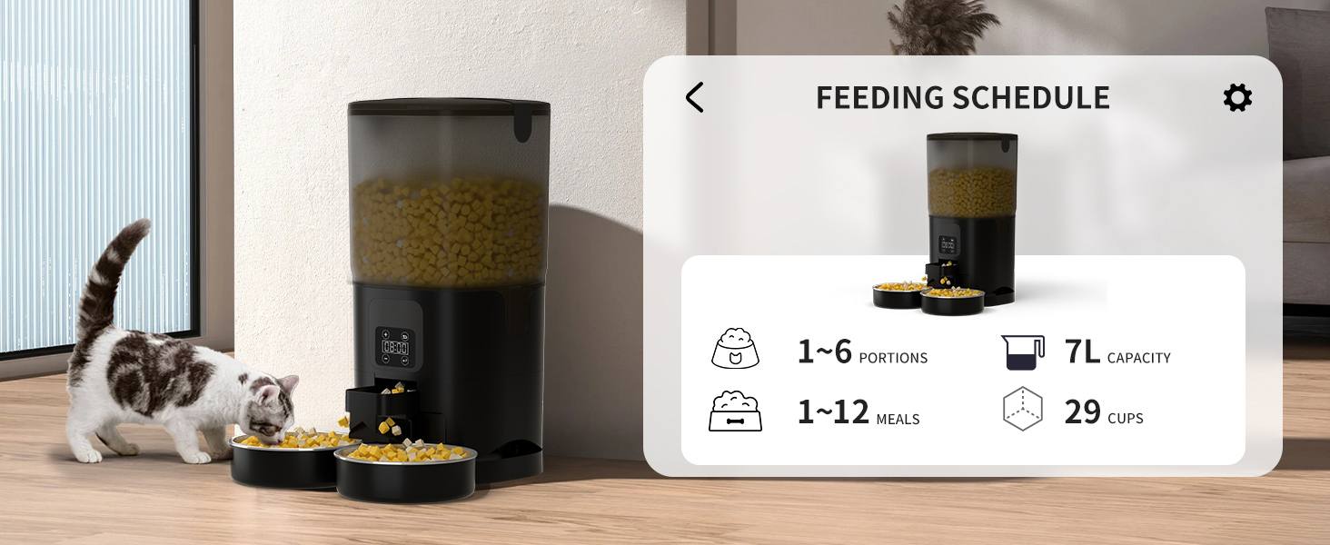 automatic cat feeder