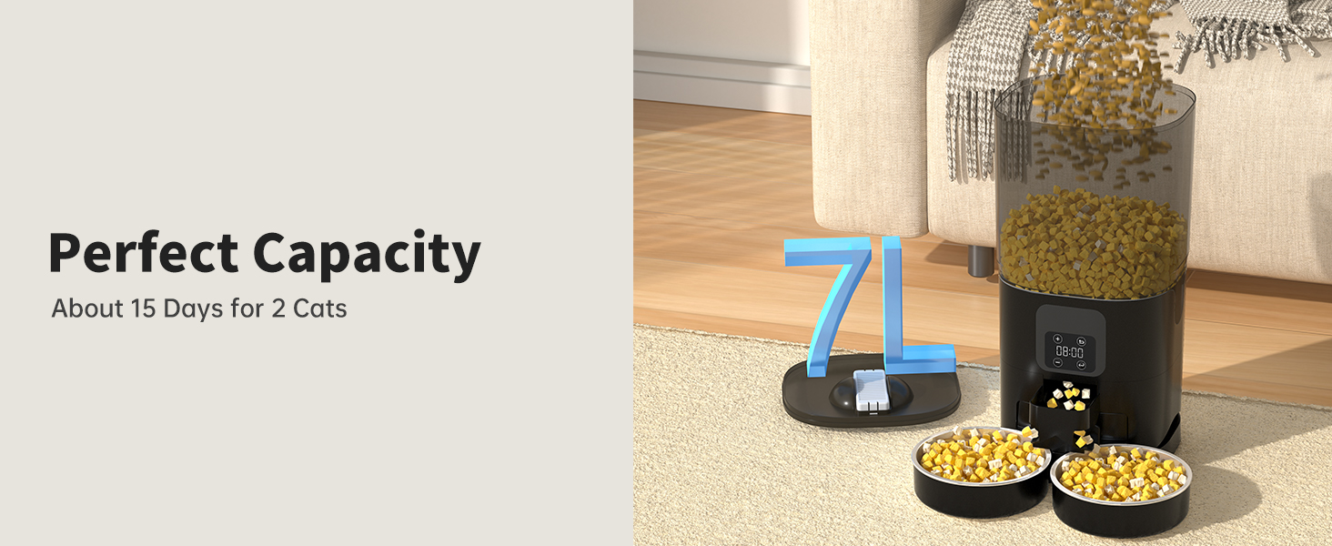 Automatic Cat Feeders