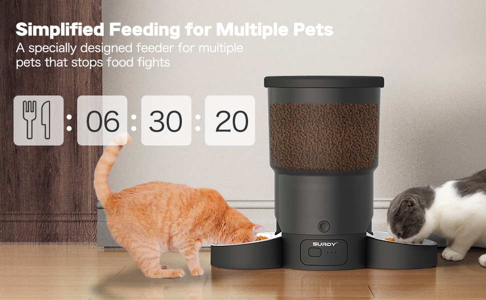 Automatic Cat Feeder for 2 Cats